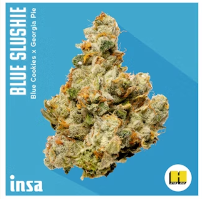 Photograph of product: Flower | Blue Slushie - 3.5g