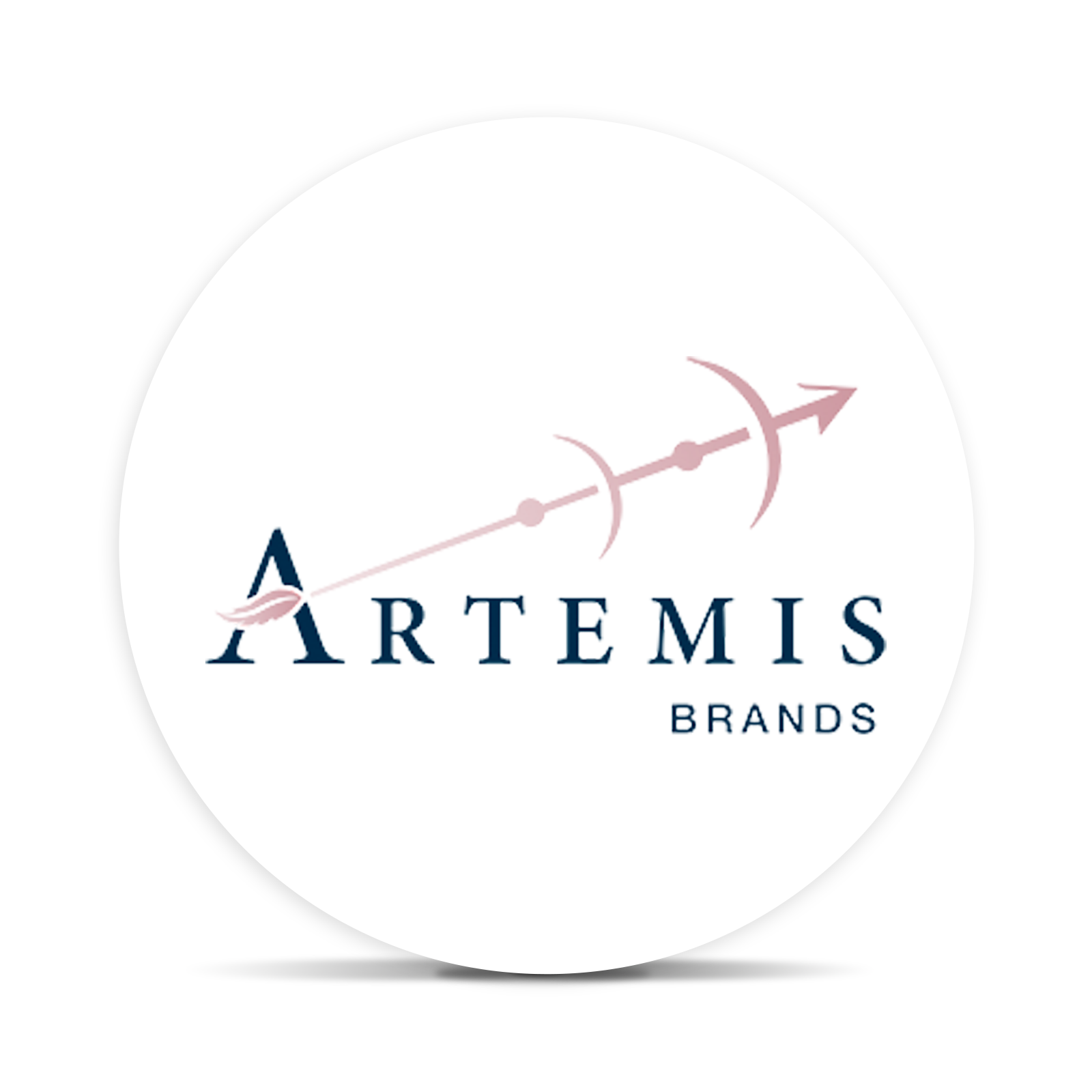 Logo for brandLogo: Artemis Brands