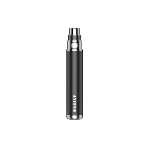 Photograph of product: Accessory  - Evolve Pen - $35