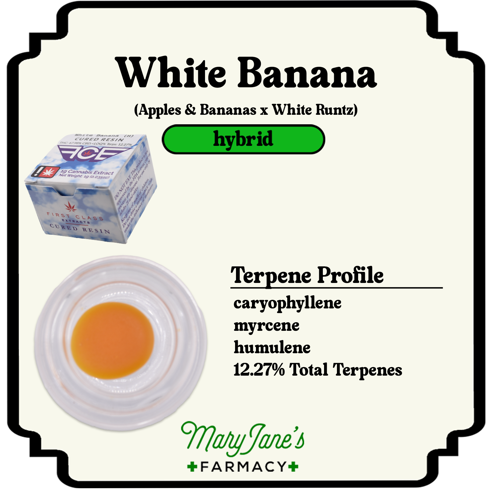 Photograph of product: White Banana Cured Resin Extract | 1g