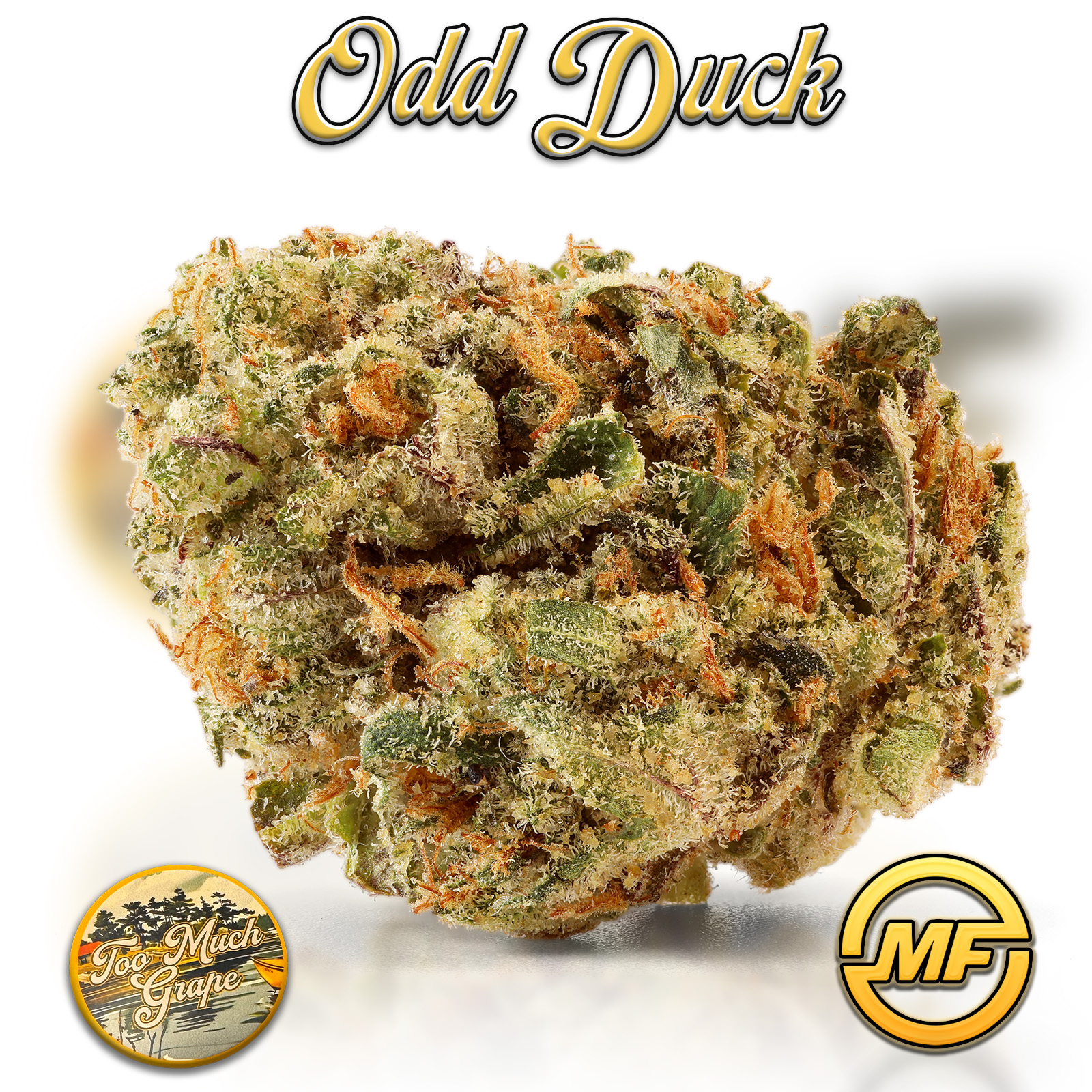 Photograph of product: Odd Duck | Too Much Grape | Pre-Packaged Half Ounce | 14g