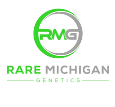 Photograph of product: Rare MI Genetics - Floozie -Gold- BULK - 28g
