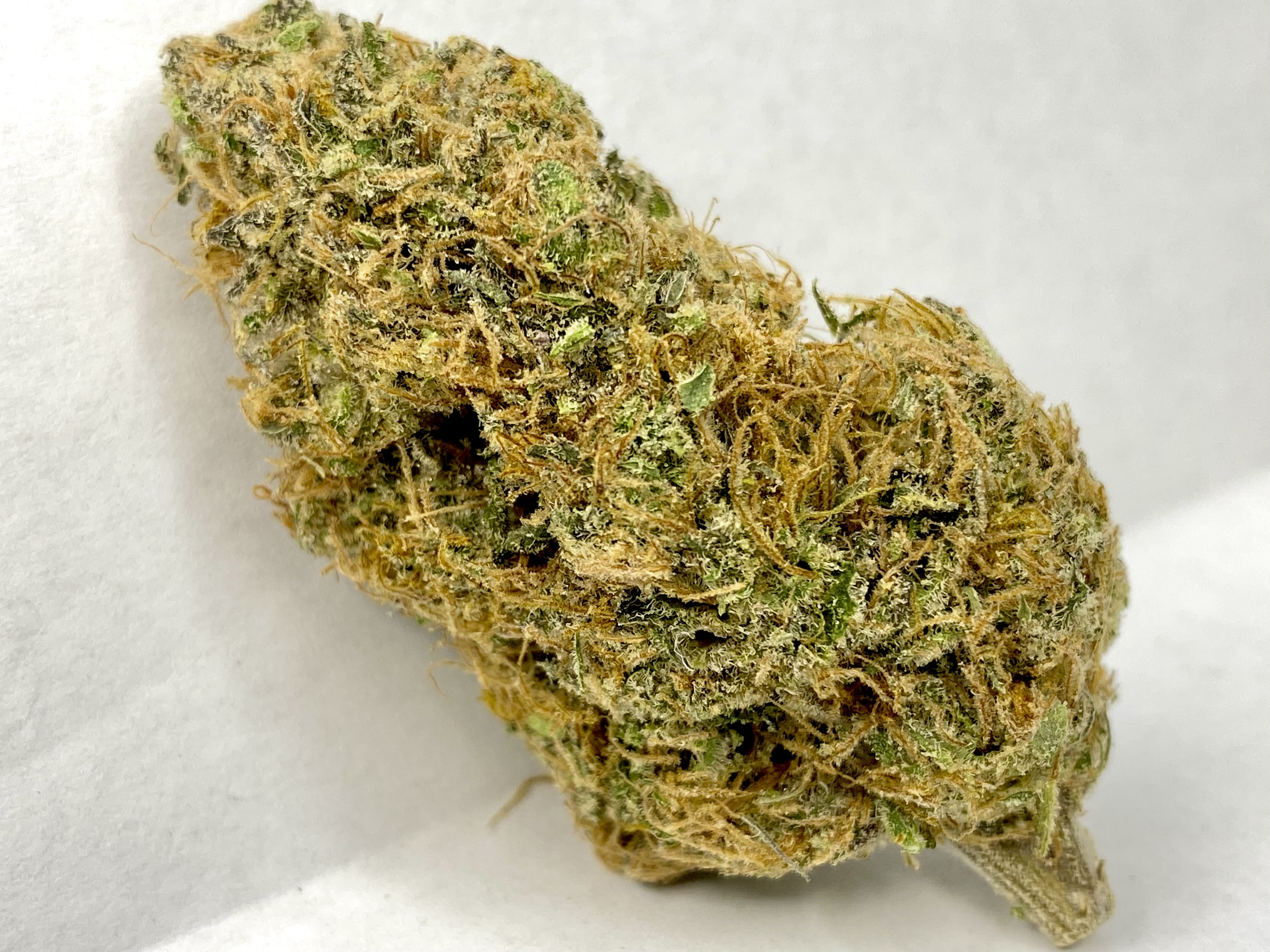 Photograph of product: GoatsBreath-Flower-|Oui'd-Dominant|HRBD - 3.5g