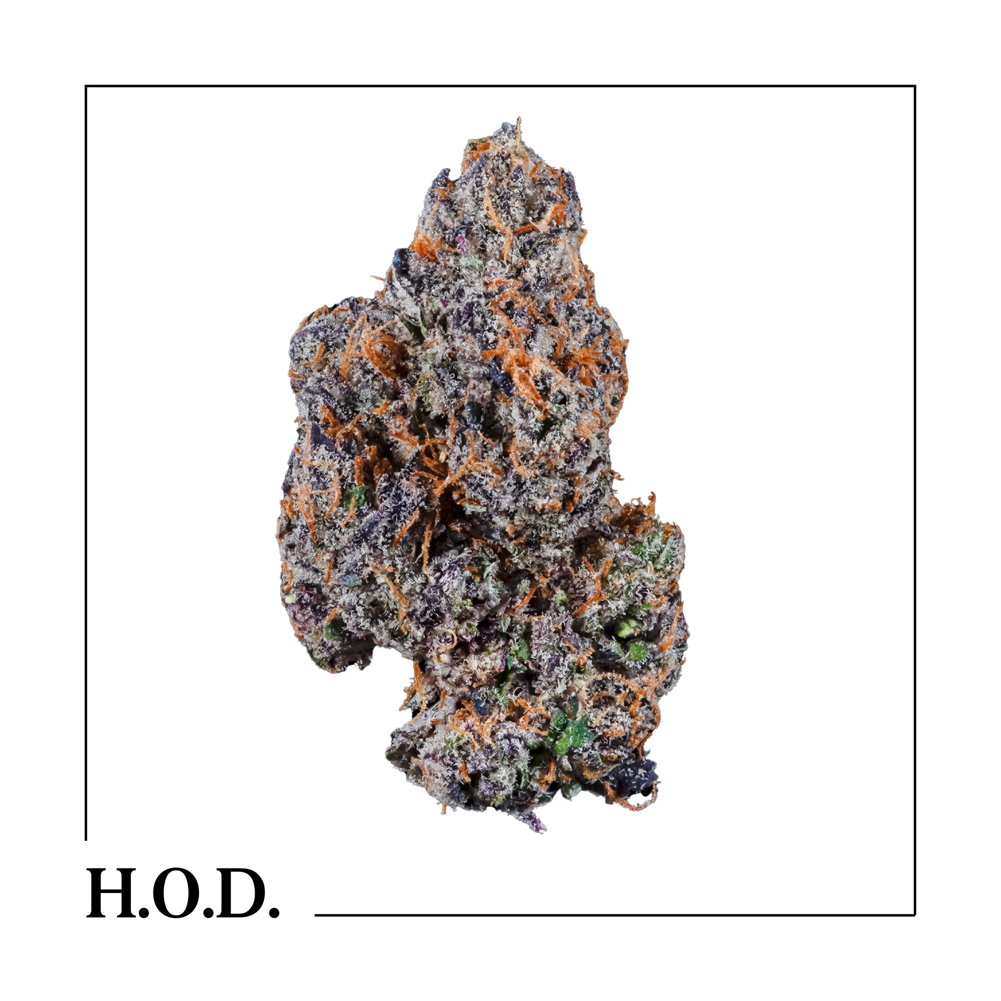 Photograph of product: Hytek Pink Runtz - 1g