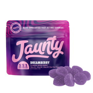 Photograph of product: Dreamberry 1:1:1 | 100mg 10pk Gummies