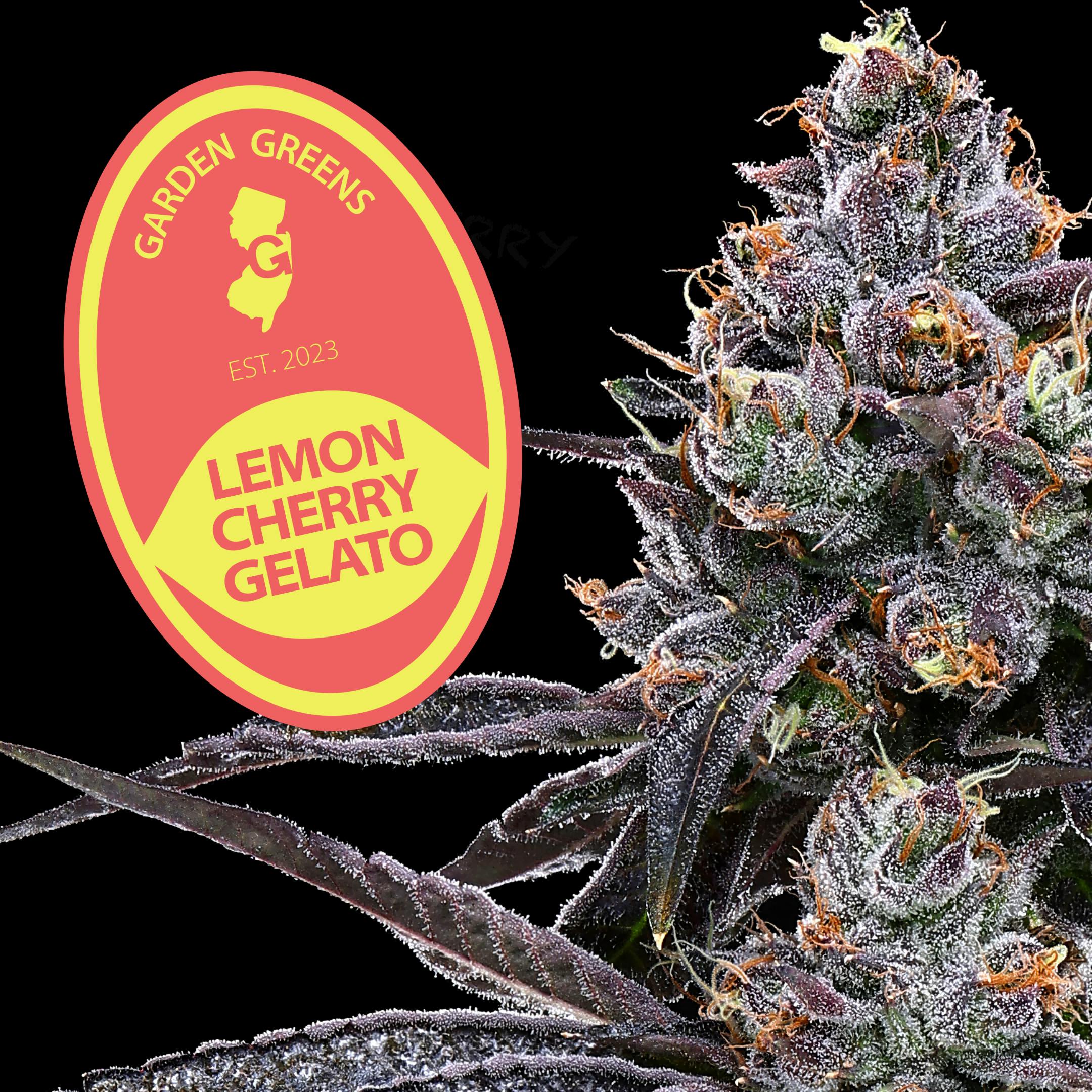 Photograph of Product: Lemon Cherry Gelato | 3.5g (Bigs)
