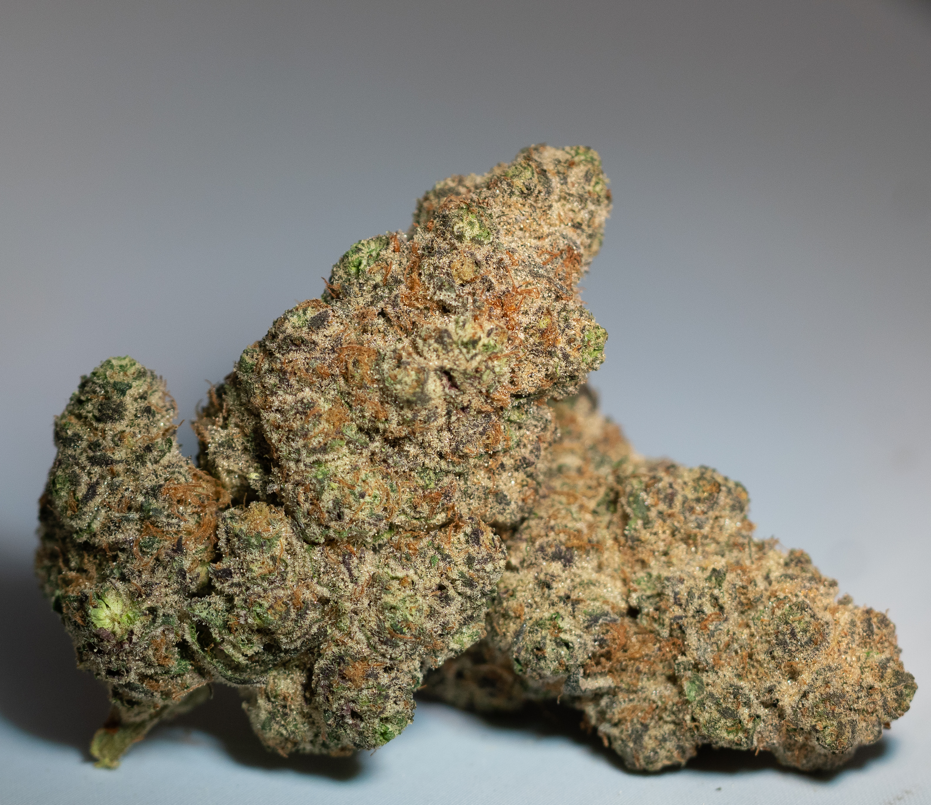 Photograph of product: DELTA FAMILY PHARMS - BLOC PARTY - 3.5g