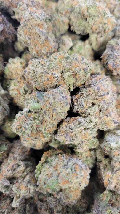 Photograph of product: Macmosa (PDX Organix)