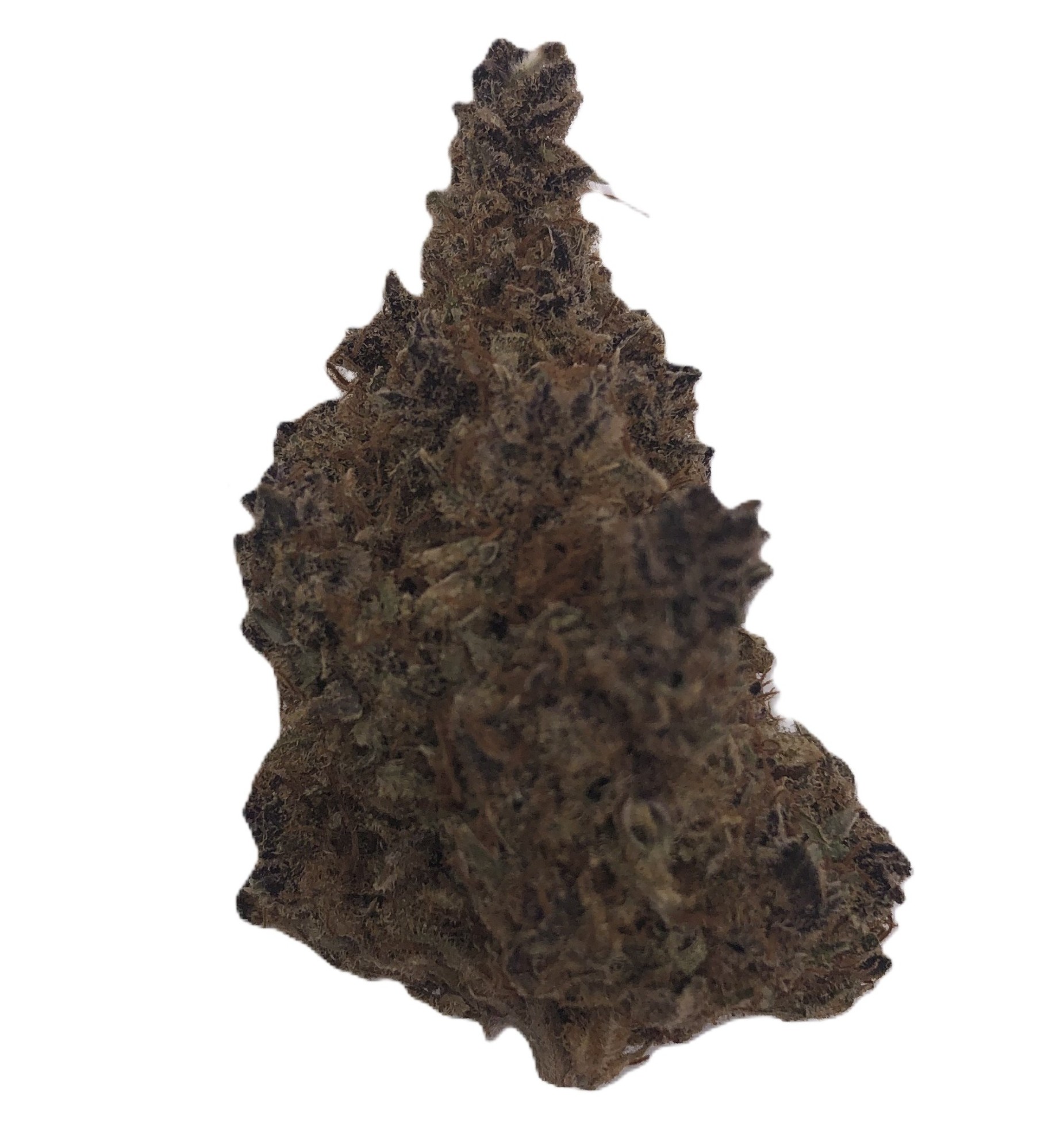 Photograph of product: Pruf Cultivar Astral Works - 14g