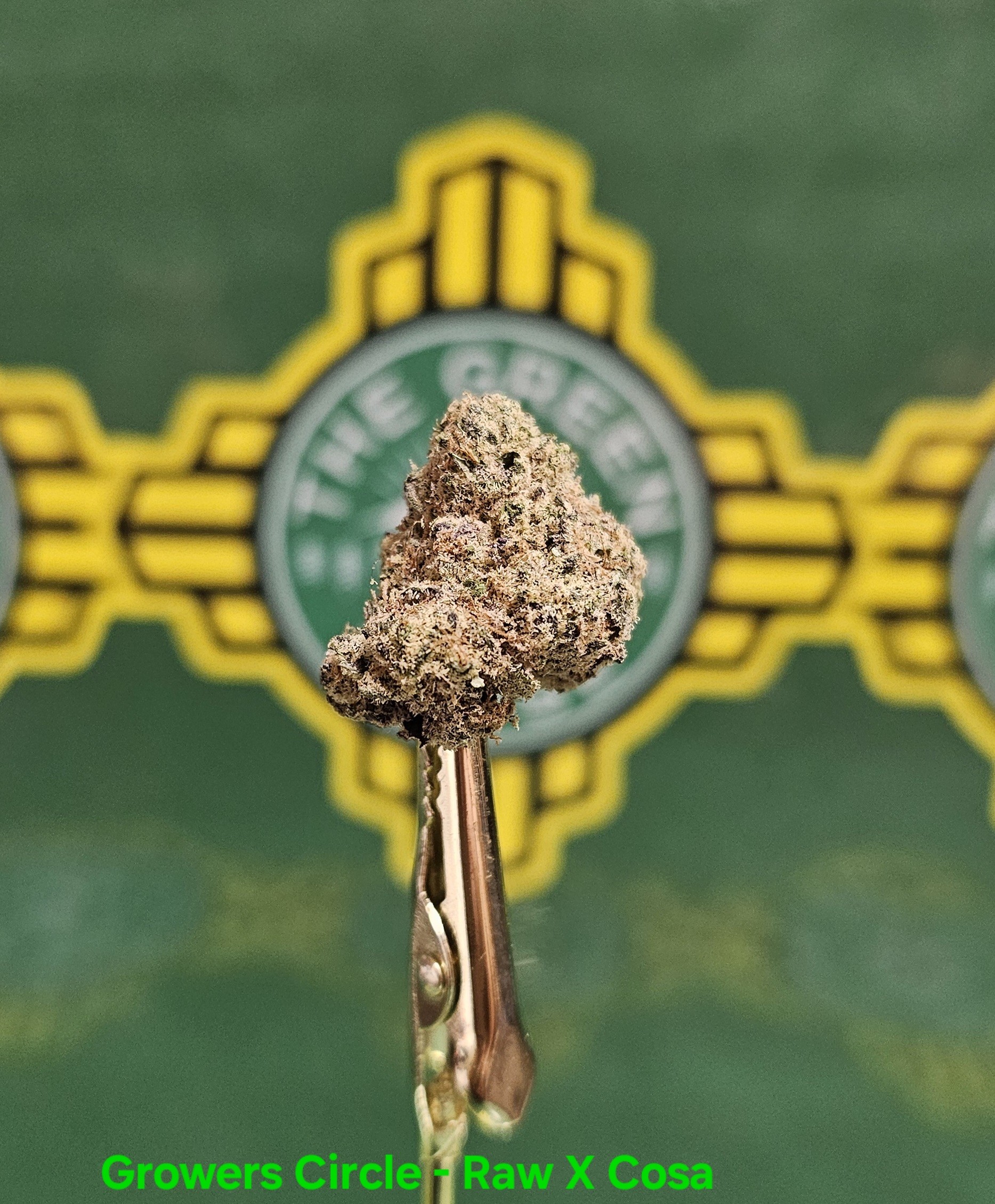 Photograph of product: Growers Circle - Raw x Cosa Nostra - (I/H) - 3.5g