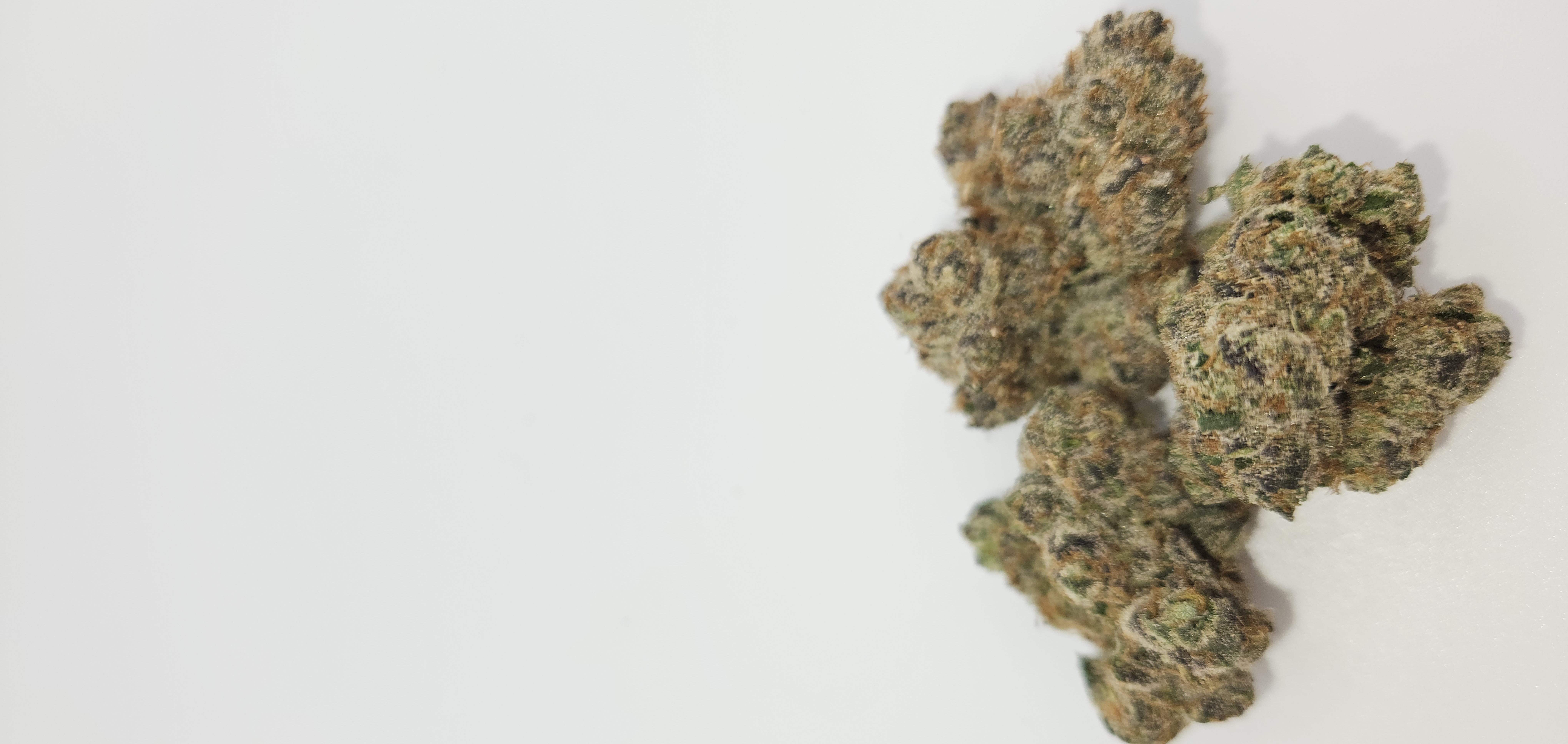 Photograph of product: Blue Cereal Milk | Bulk Flower - 28g