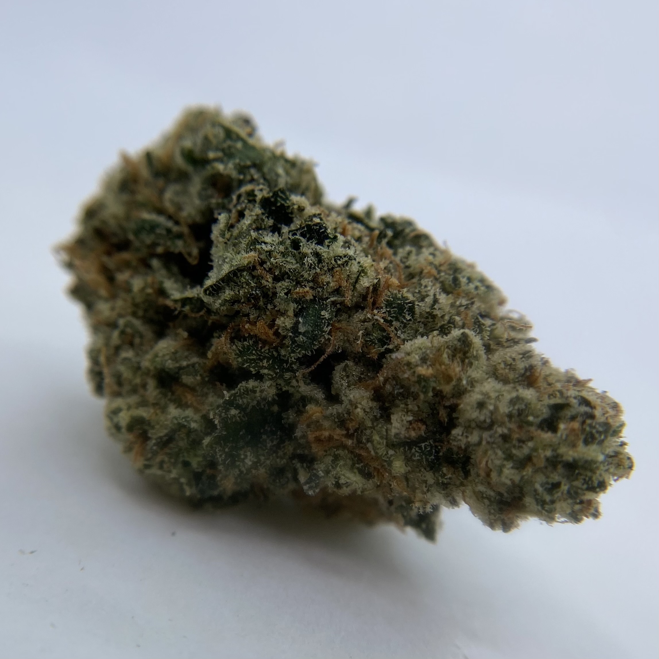 Photograph of product: INDICO : Lost Burger Buds - 28g