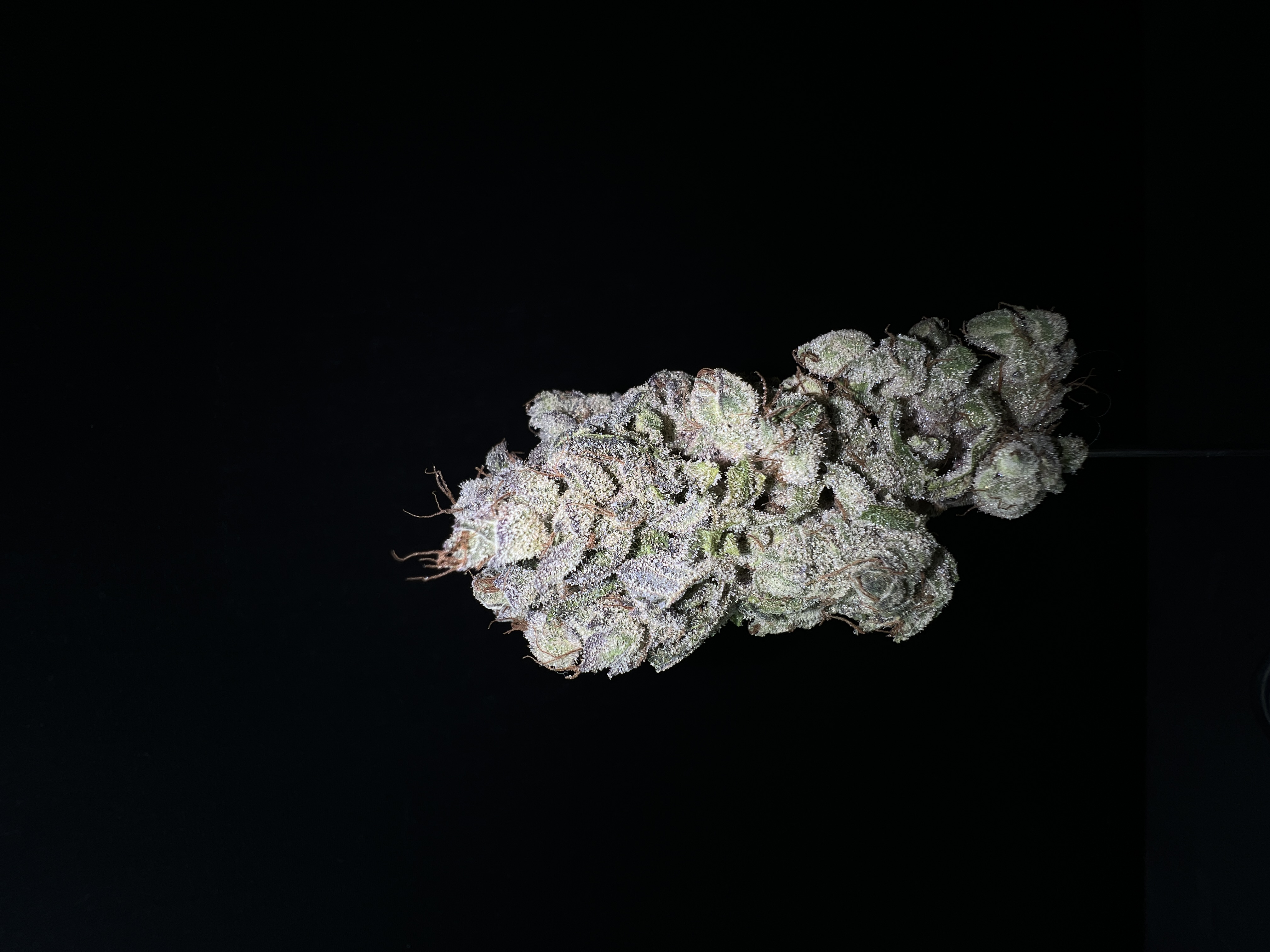 Photograph of product: ZOTE - 3.5 G