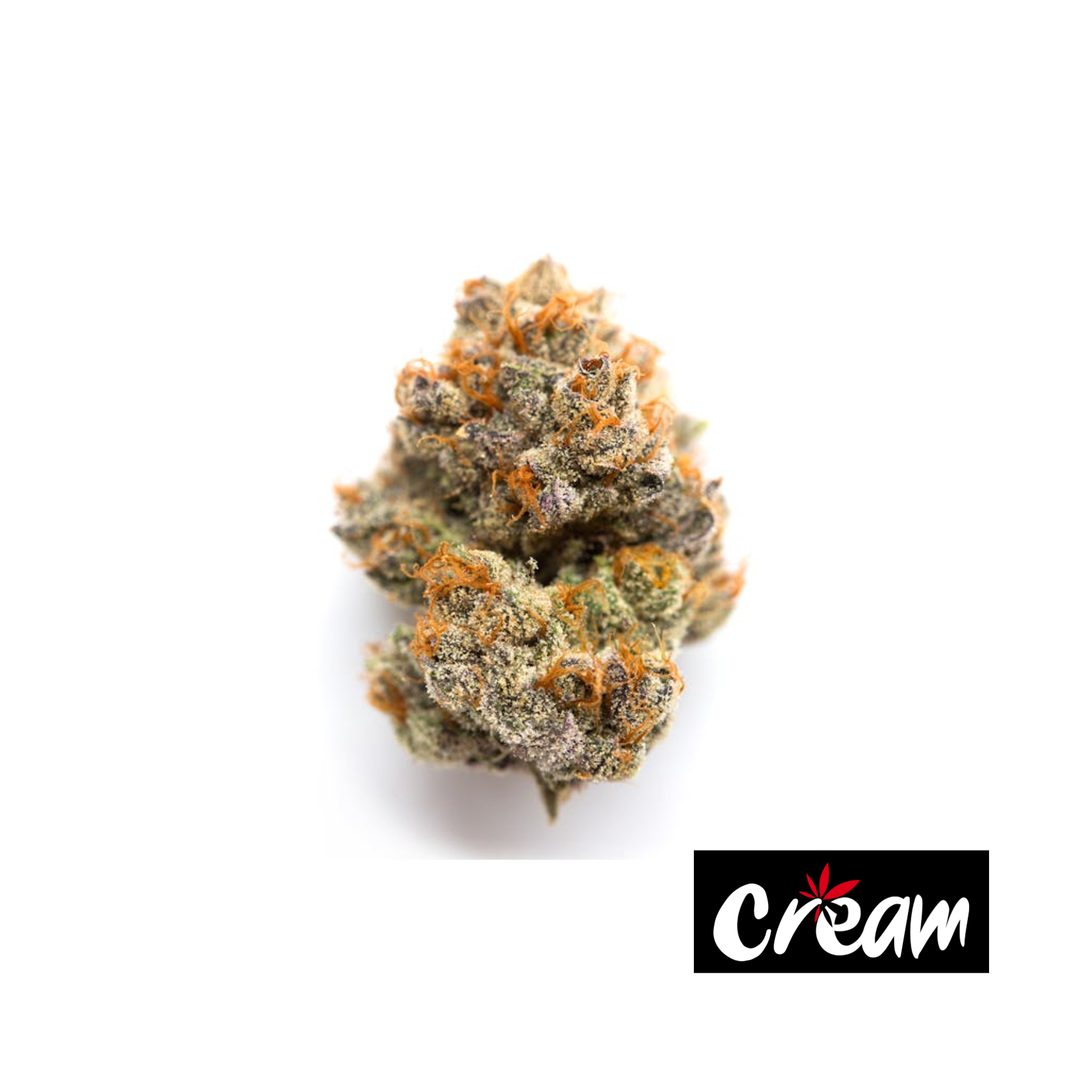 Photograph of product: Banana Cream Jealousy - 3.5g