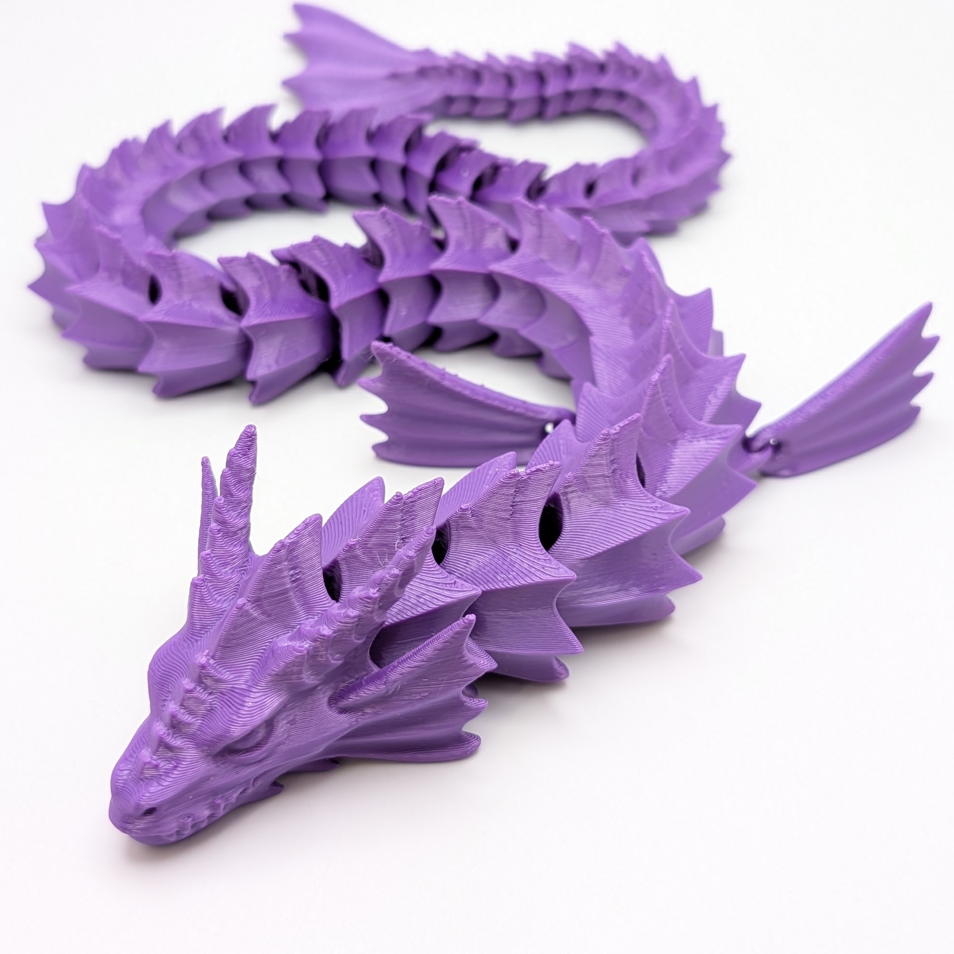 Photograph of product: Finned Purple Dragon