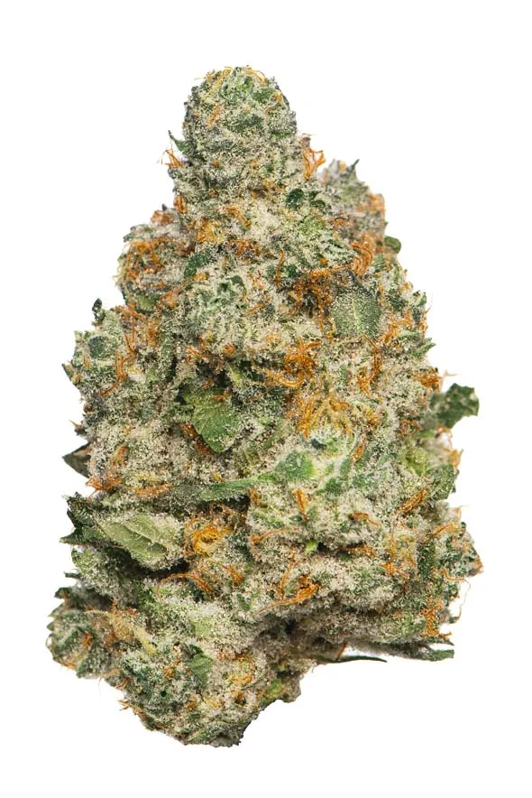 Photograph of product: Proper: Flower | Dulce De Uva | 3.5g