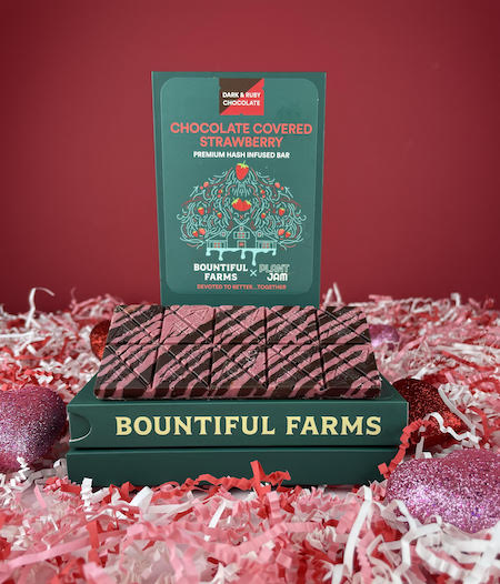 Photograph of product: Chocolate Covered Strawberry Bar - au chocolat Rosin Infused 100mg - Bountiful Farms