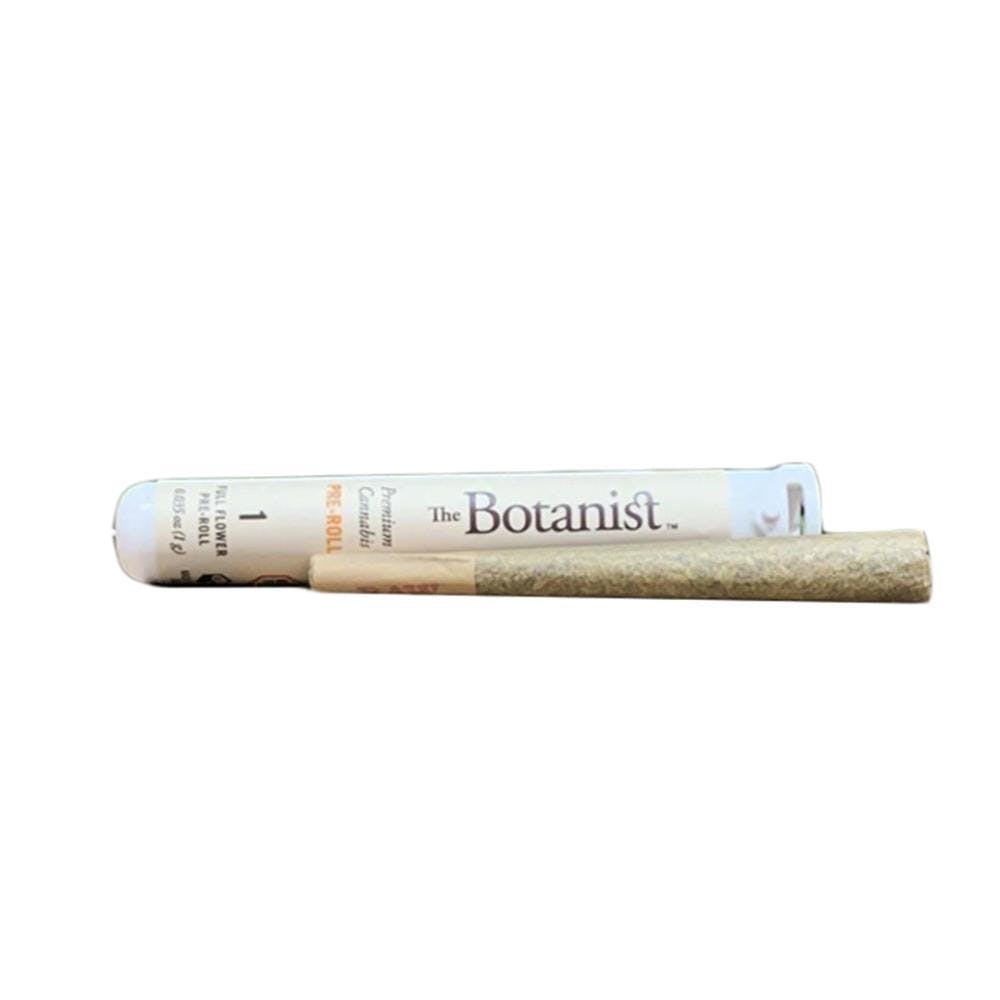 Photograph of product: Guava Now N Later | Pre-roll