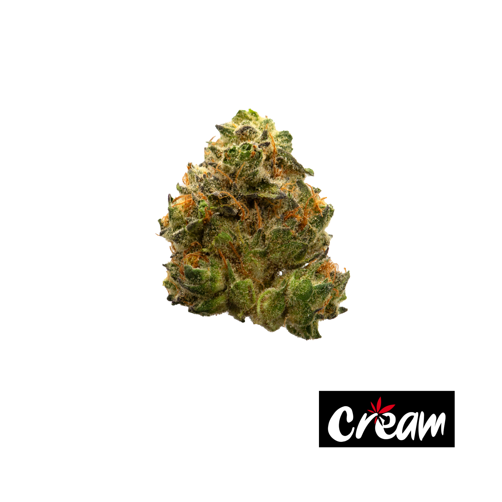 Photograph of product: Garlic Cookies, Smalls - 7g