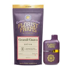 Photograph of product: Florist Farms | Grandi Guava | Live Resin AIO Disposable Vape | 1g
