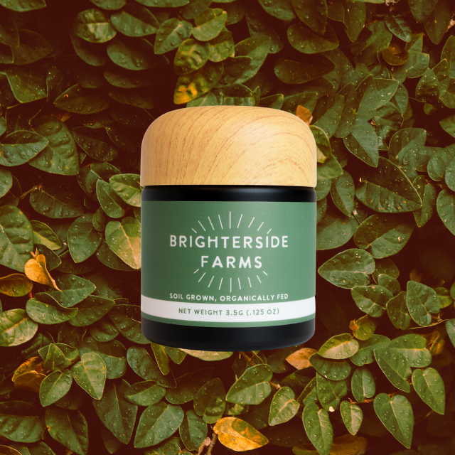 Photograph of product: FLOWER | GH1 | 3.5G