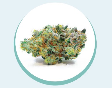 Photograph of product: Gelonade - 3.5g