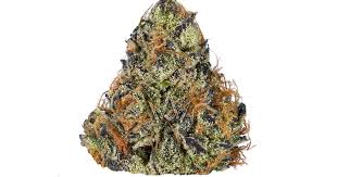Photograph of product: Sticky Toad | Tyson 2.0 | Bulk Flower