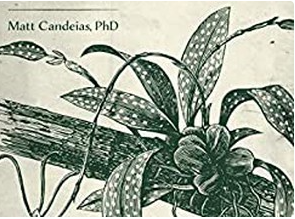 Photograph of product: In Defense of Plants