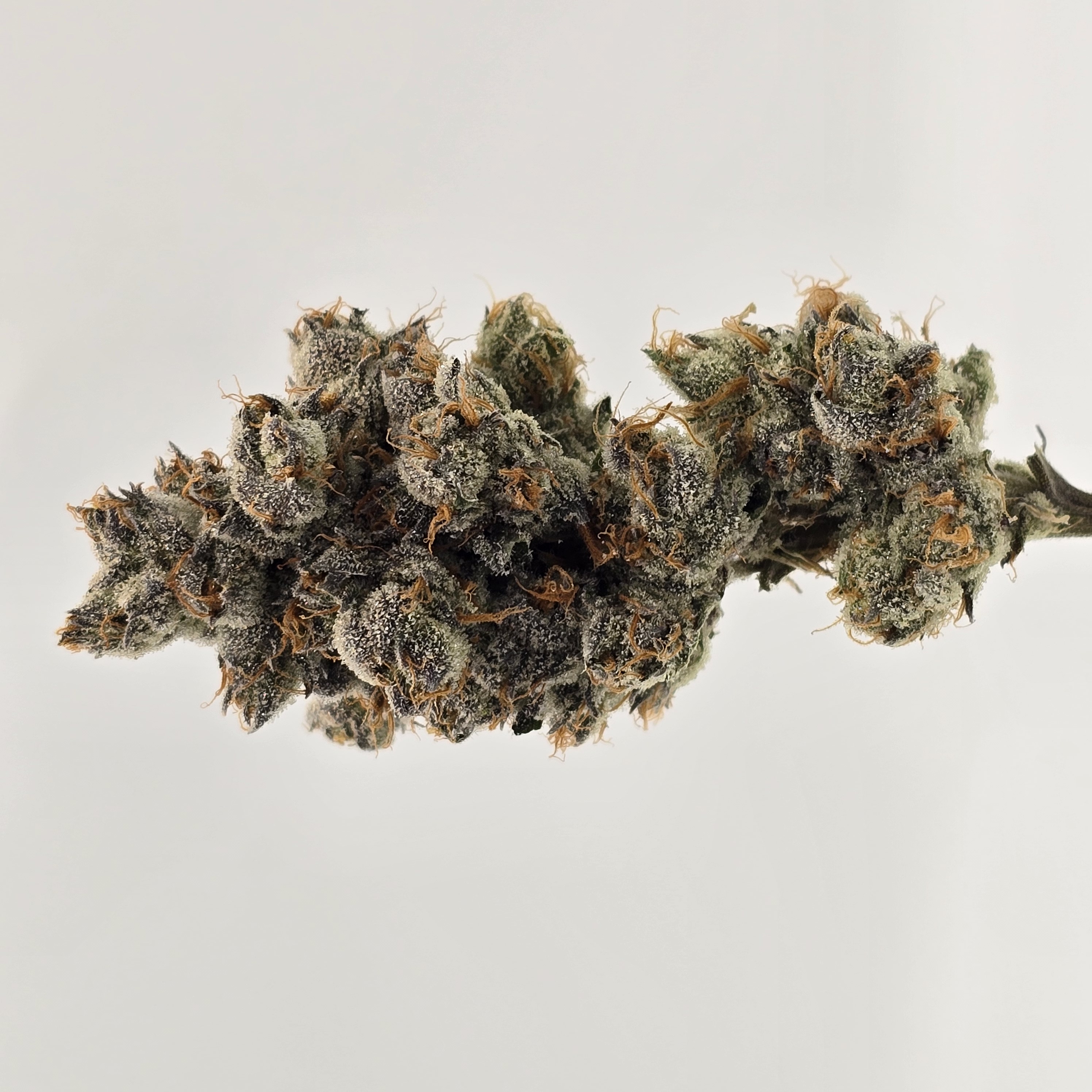 Photograph of product: MOCA | Gary Payton - 3.5g