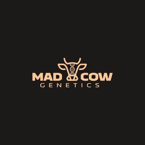 Photograph of product: MadCow Mylar (3.5g) Kimochi 32% 4980