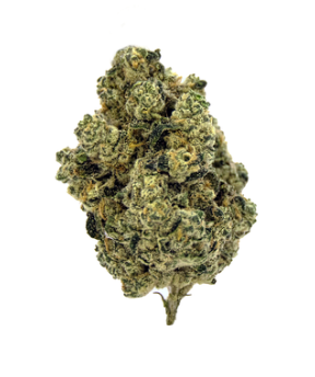 Photograph of product: G TANK | 14G
