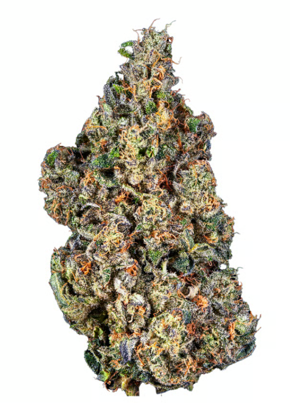 Photograph of product: High Hopes | Animal Mintz Cake - 3.5g