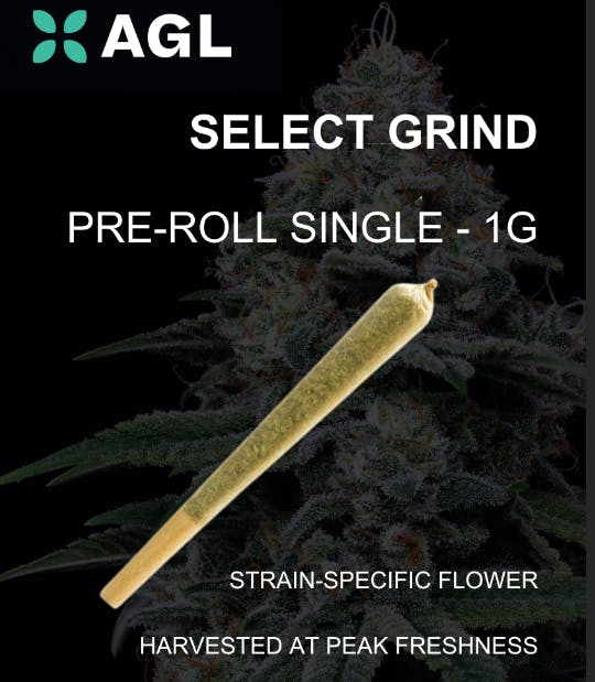 Photograph of product: AGL Pre Roll 1g Slapz (H)