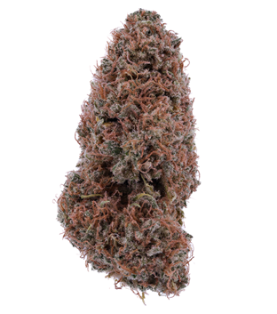 Photograph of product: Flower - - Sour Lifter (CBD Flower, No TH-oui) - 3.5g