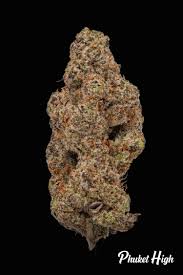 Photograph of product: Space Lube 3.5g-H