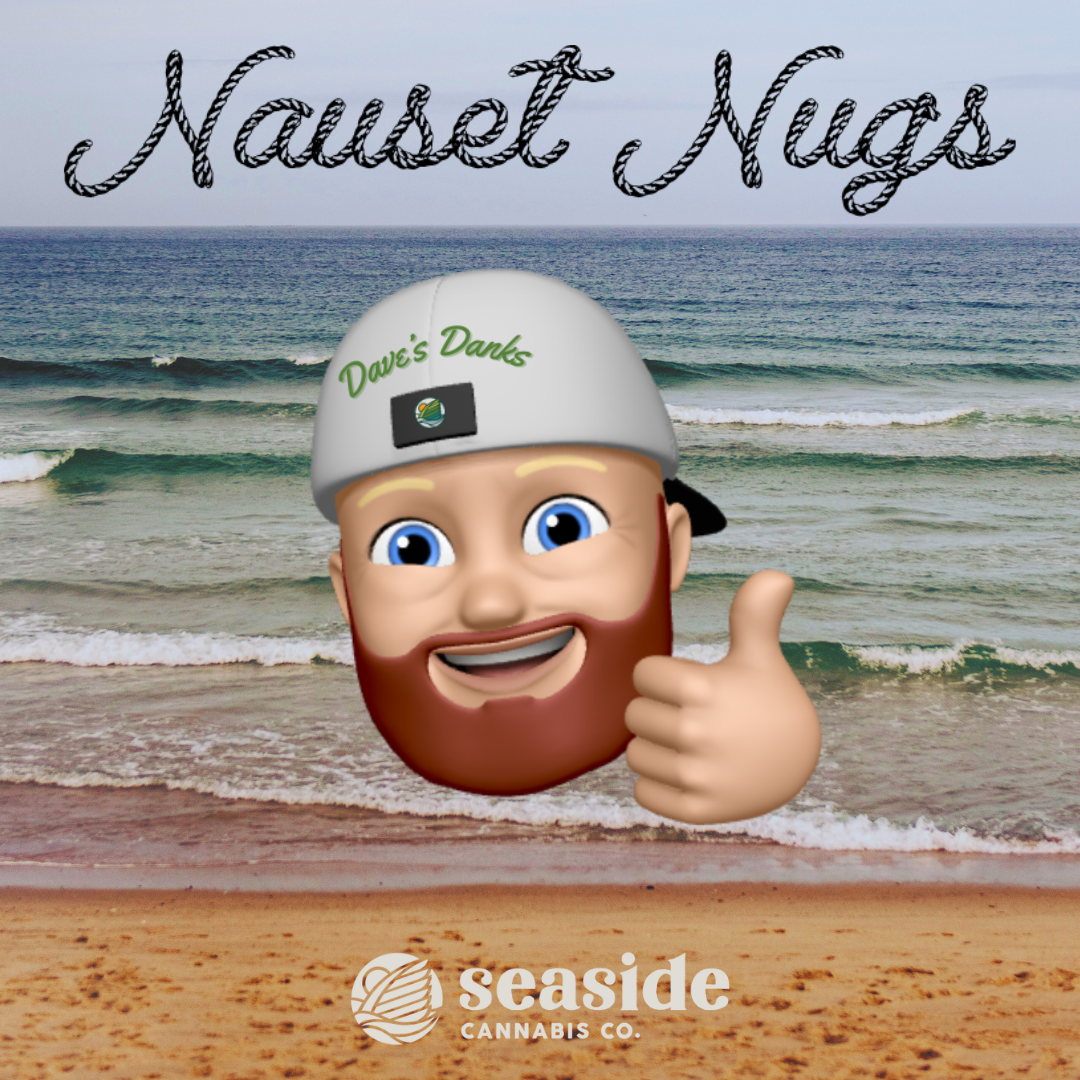 Photograph of product: Suncrafted | Papaya Nauset Nugs | Bulk
