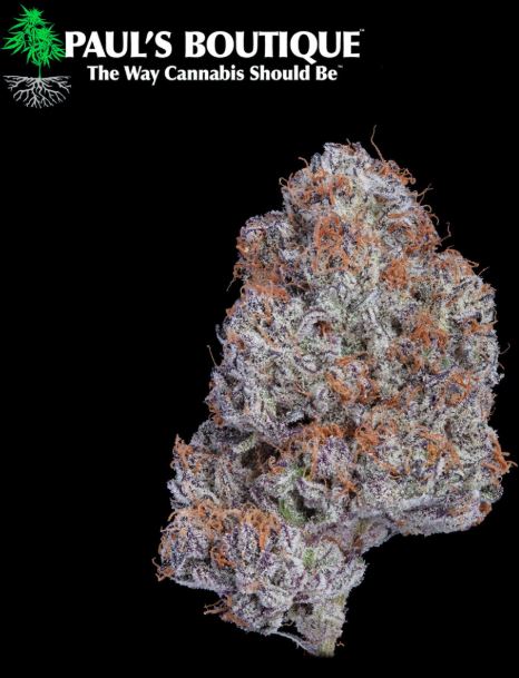 Photograph of product: I Paul's Boutique Ice Cream Cake - 3.5g