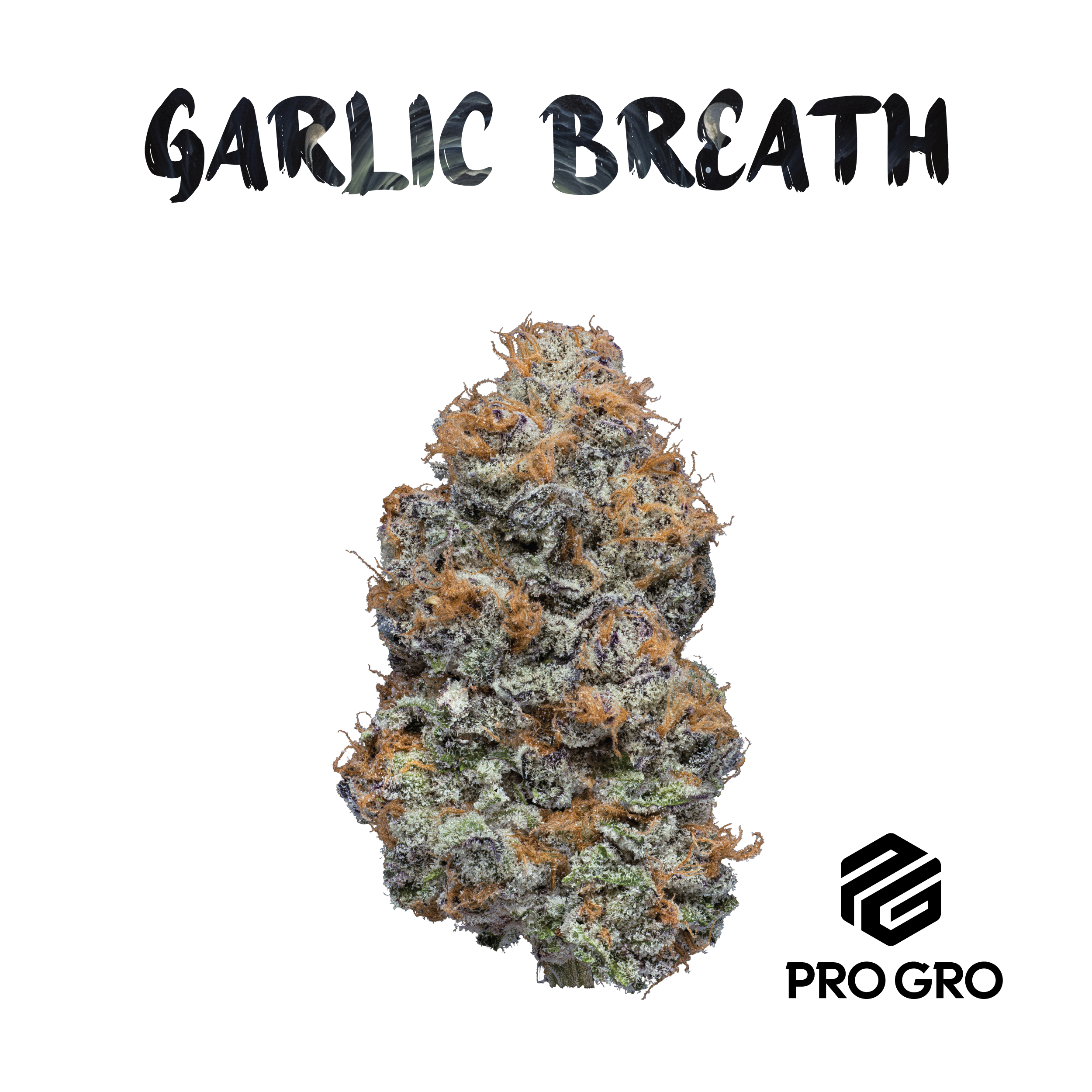 Photograph of product: Garlic Breath | Deli - 1g