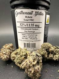 Photograph of product: Gastronaut Status (H) Heady Tree - 3.5g