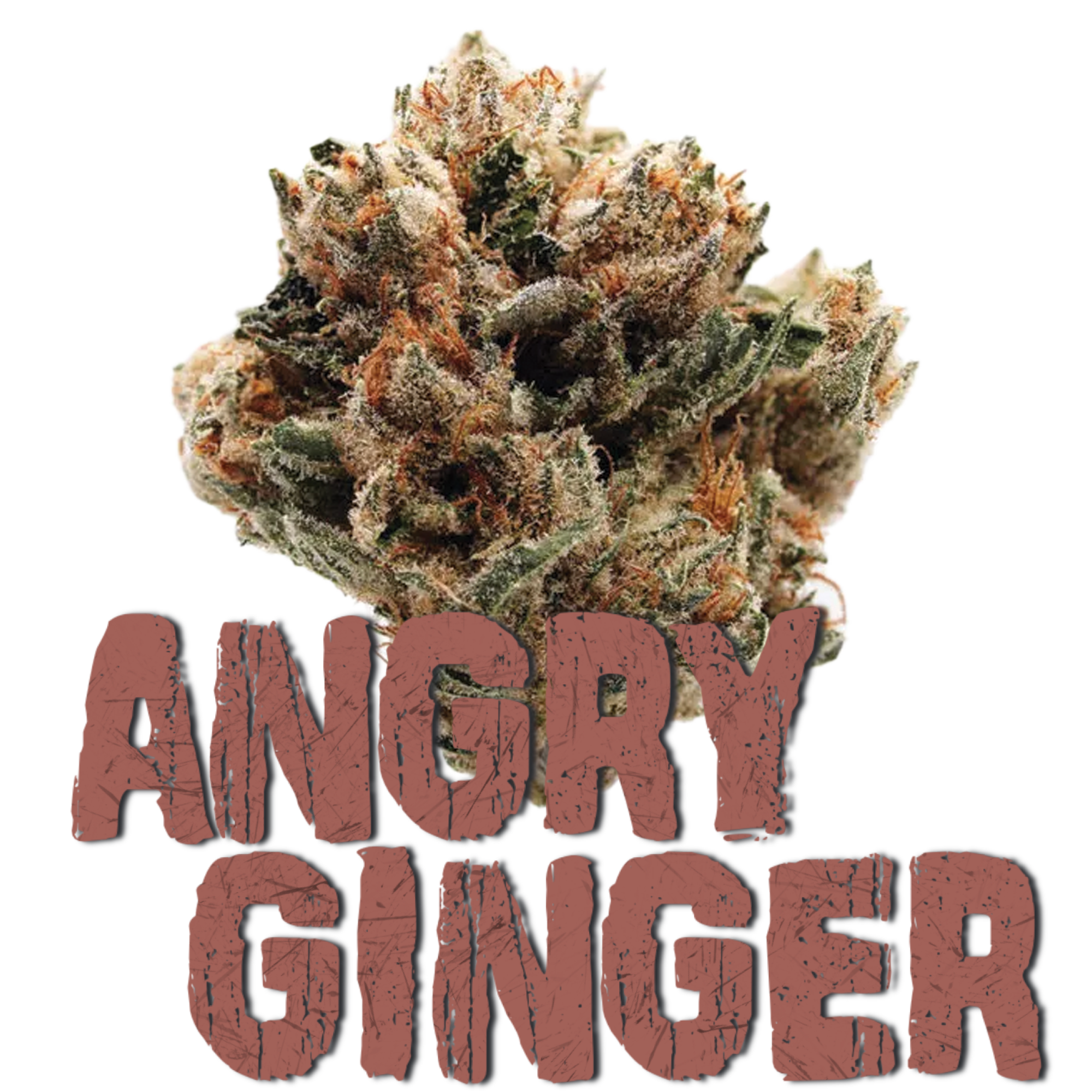 Photograph of product: Angry Ginger - 14g