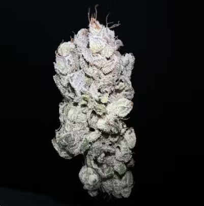 Photograph of product: Zote - 3.5g