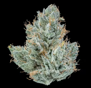 Photograph of product: 3.5g Runtz Your Face off