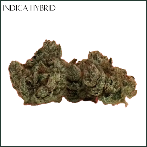 Photograph of product: District Oui'd | Gorilla Glue | Flower - 3.5g