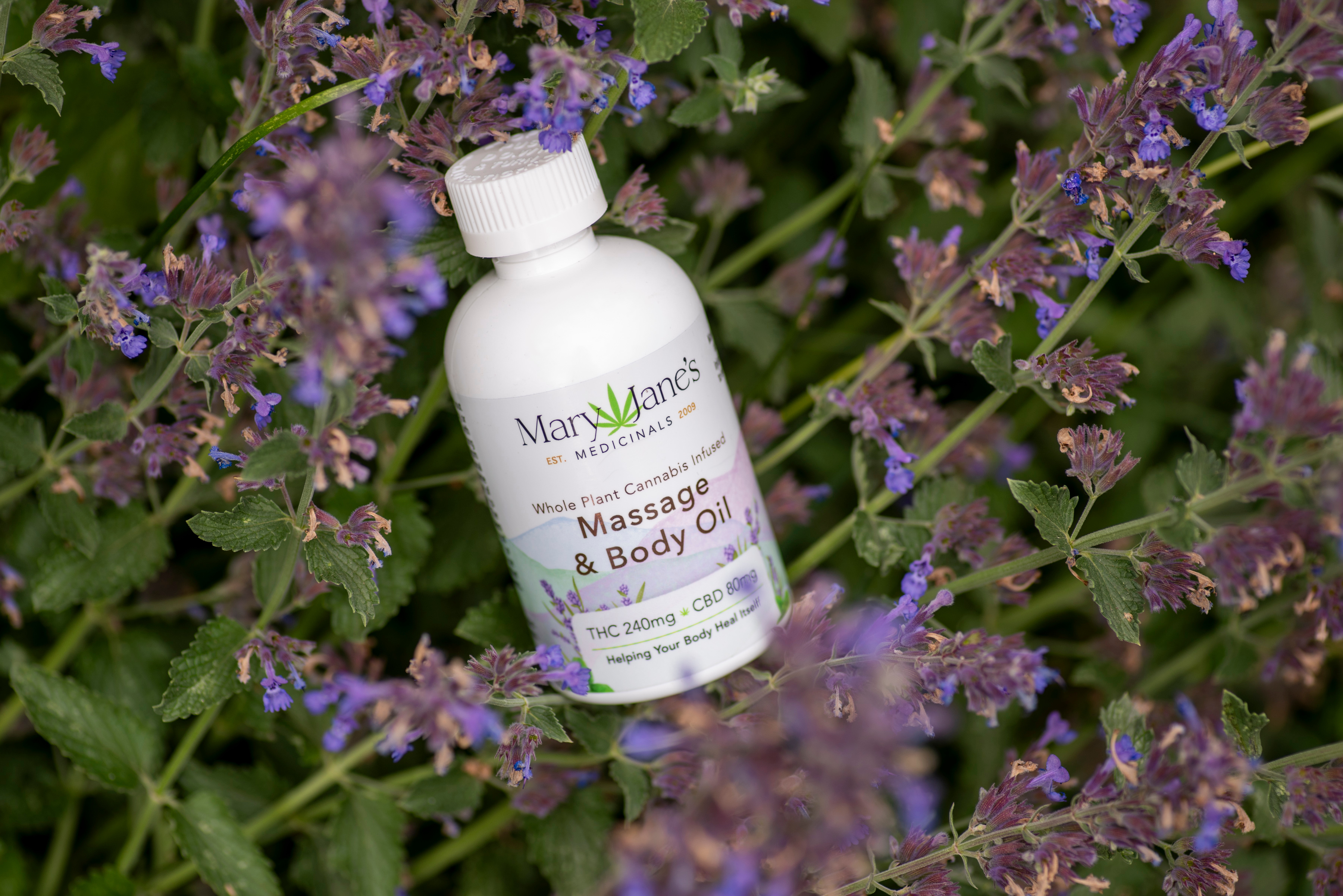 Photograph of product: Mary Jane's - Massage Oil 4oz