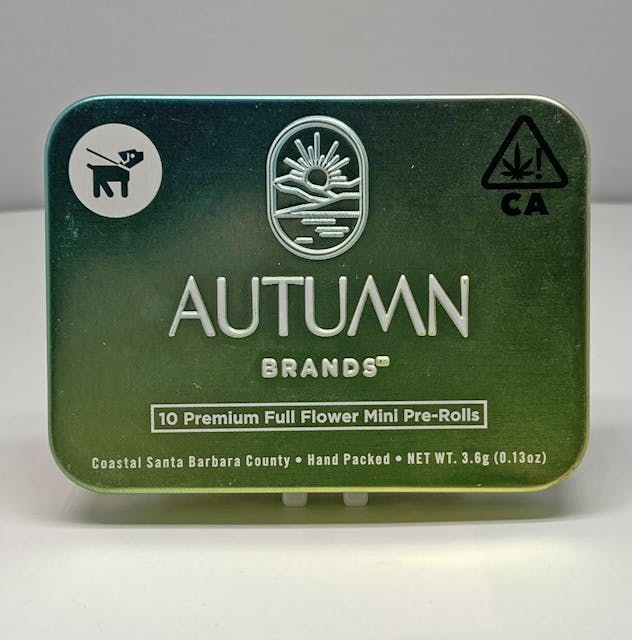 Photograph of product: Orange Dreamsicle Joint 10Pk - 