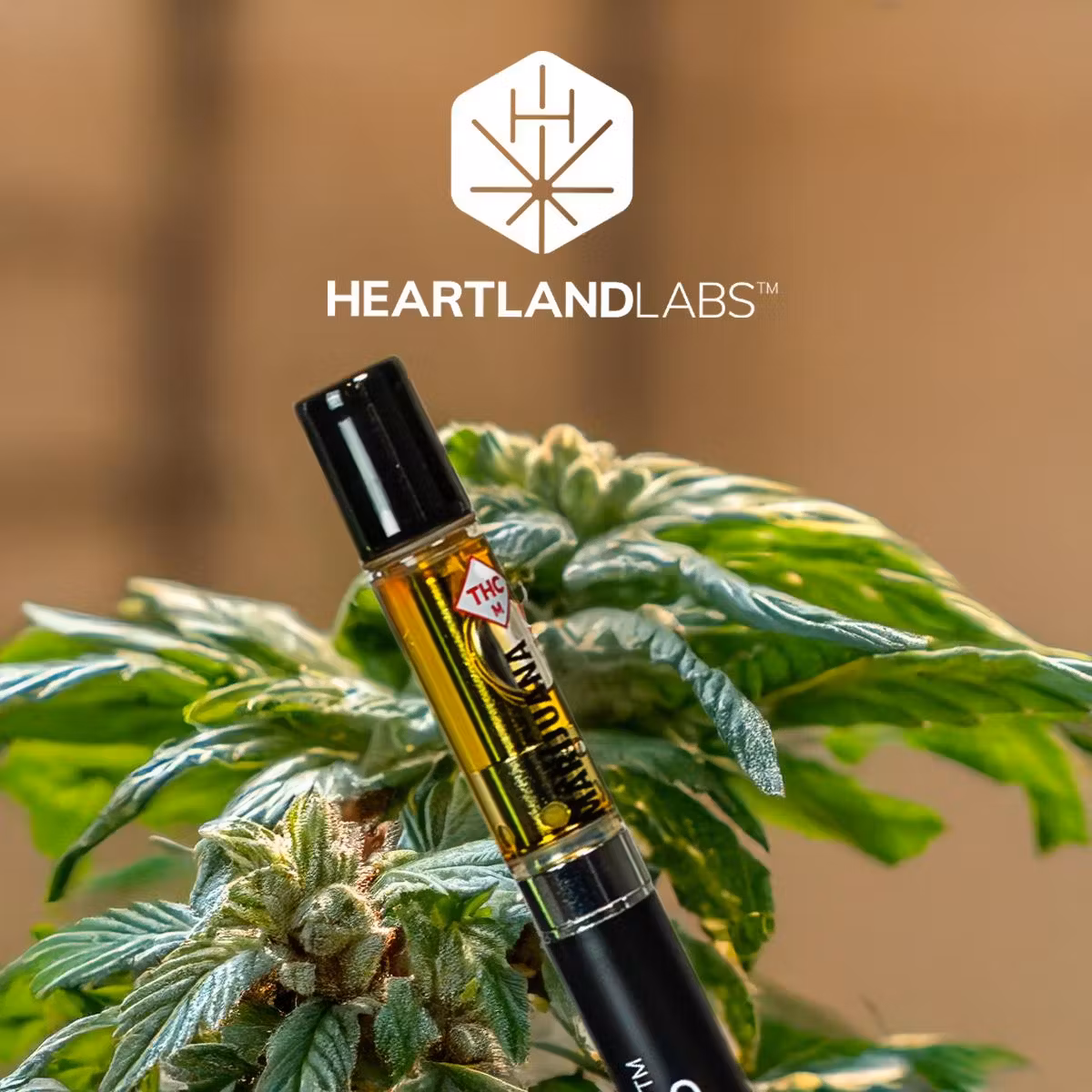 Photograph of product: Grape Stomper | 1g | Cartridge | Heartland Labs