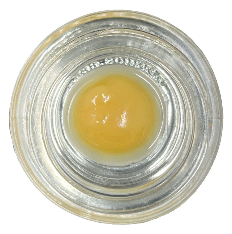 Photograph of product: ECHO | LIVE BUDDER | OISHII