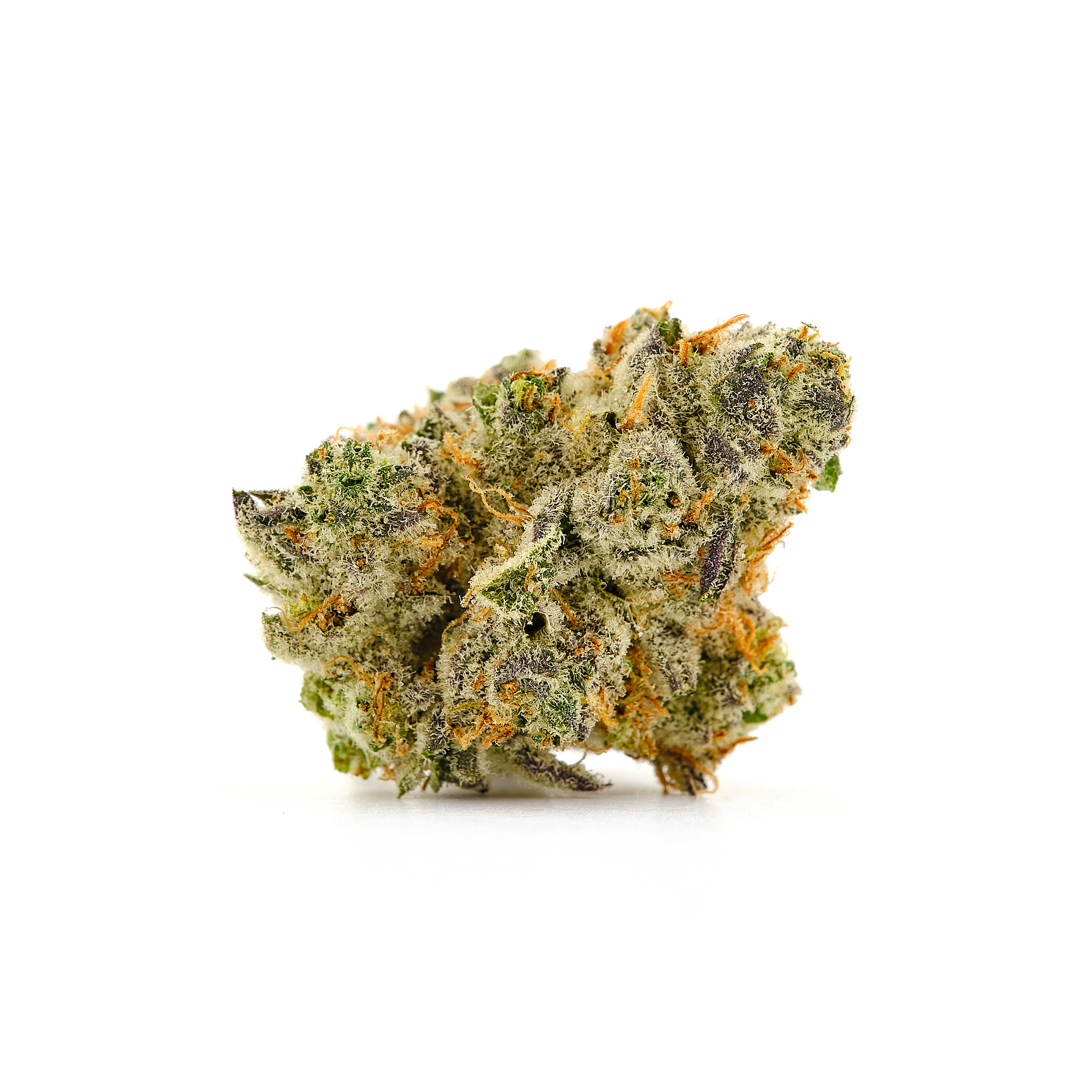 Photograph of product: Gorilla Cookies Premier Flower | 3.5g