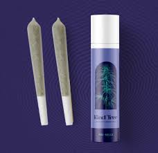 Photograph of product: Kind Tree | Platinum Peaches | Diamond Infused Multipack | 2pk/1g