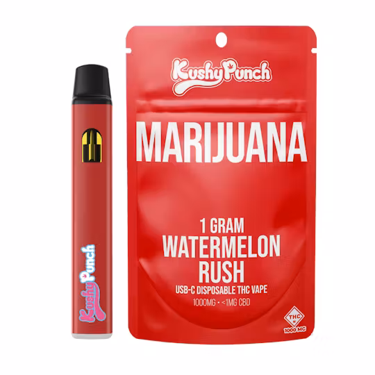 Photograph of product: Watermelon Rush Disposable | 1g